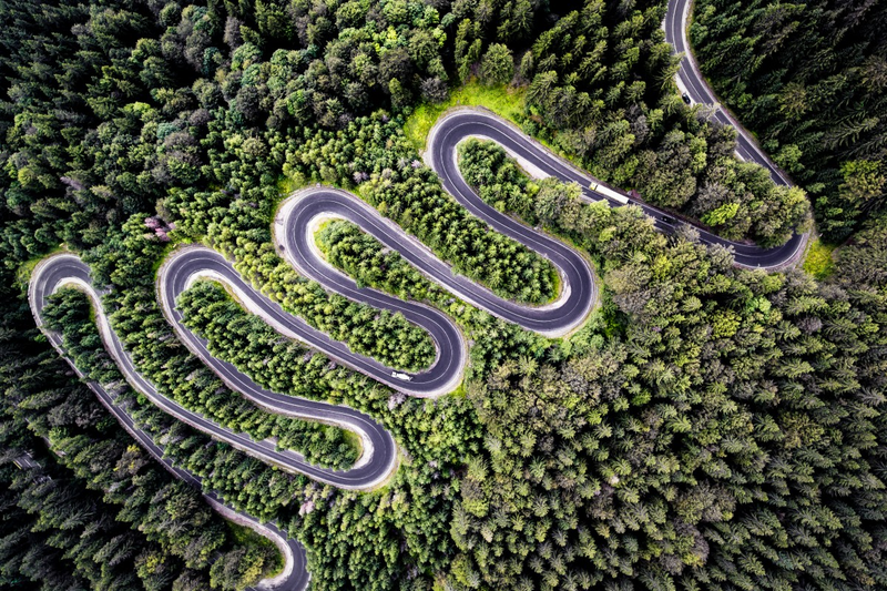 Segundo premio en la categorĂa Naturaleza